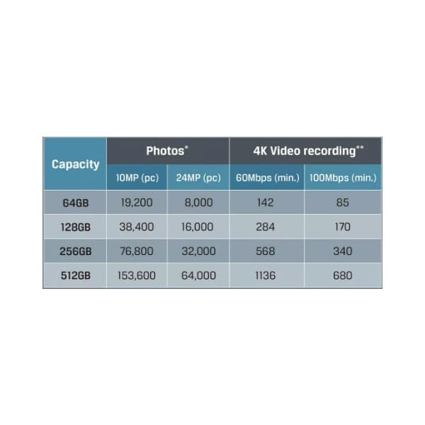 Memoria Microsd Kingston 256gb Canva Go plus 170mb/s